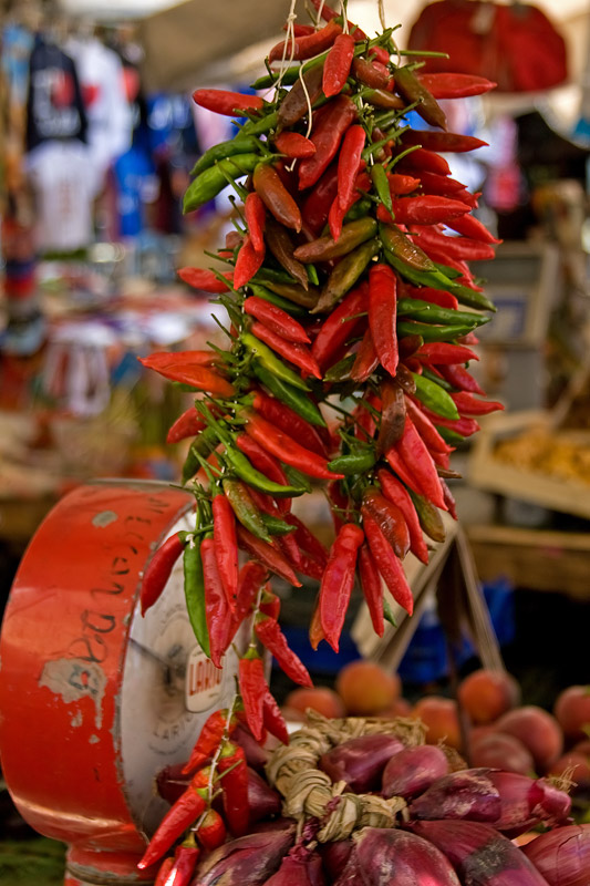 Rome<br>Market