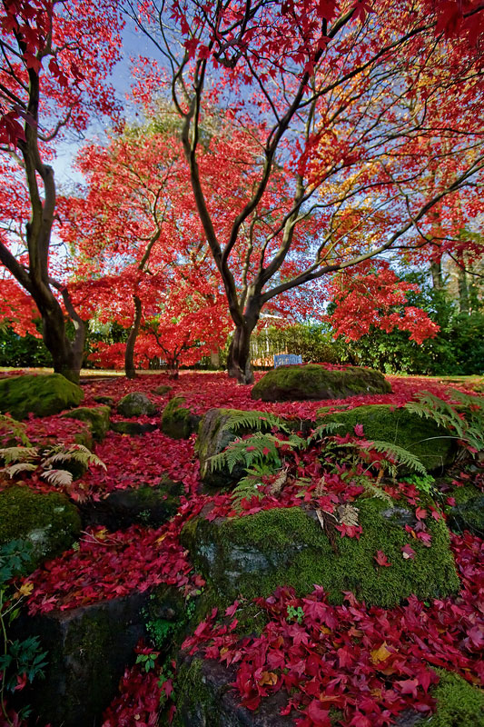 Autumn Blast!