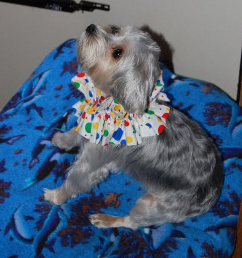 Reggie the clown