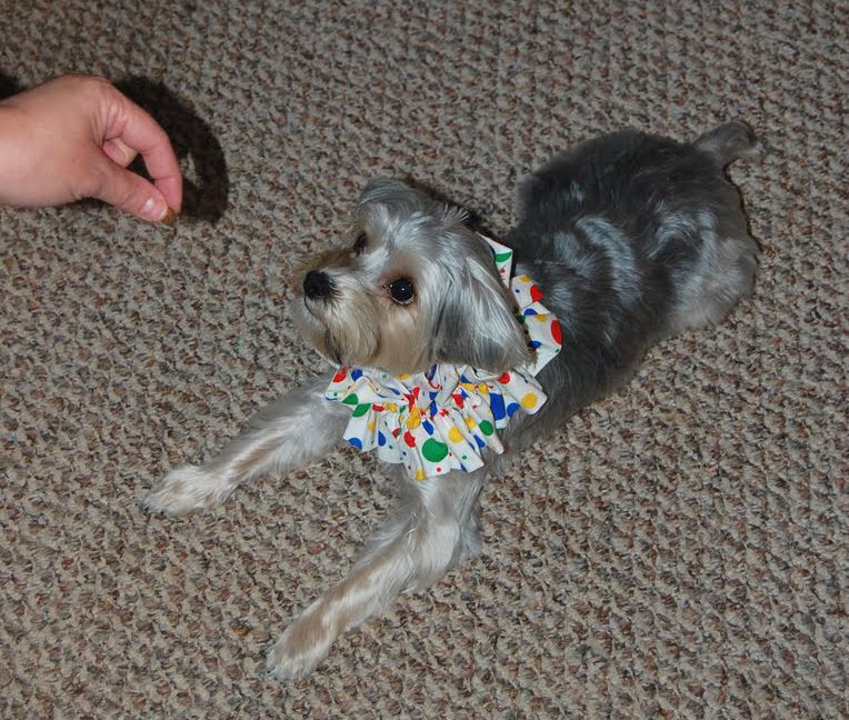 Reggie the clown