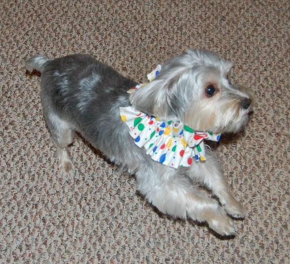 Reggie the clown
