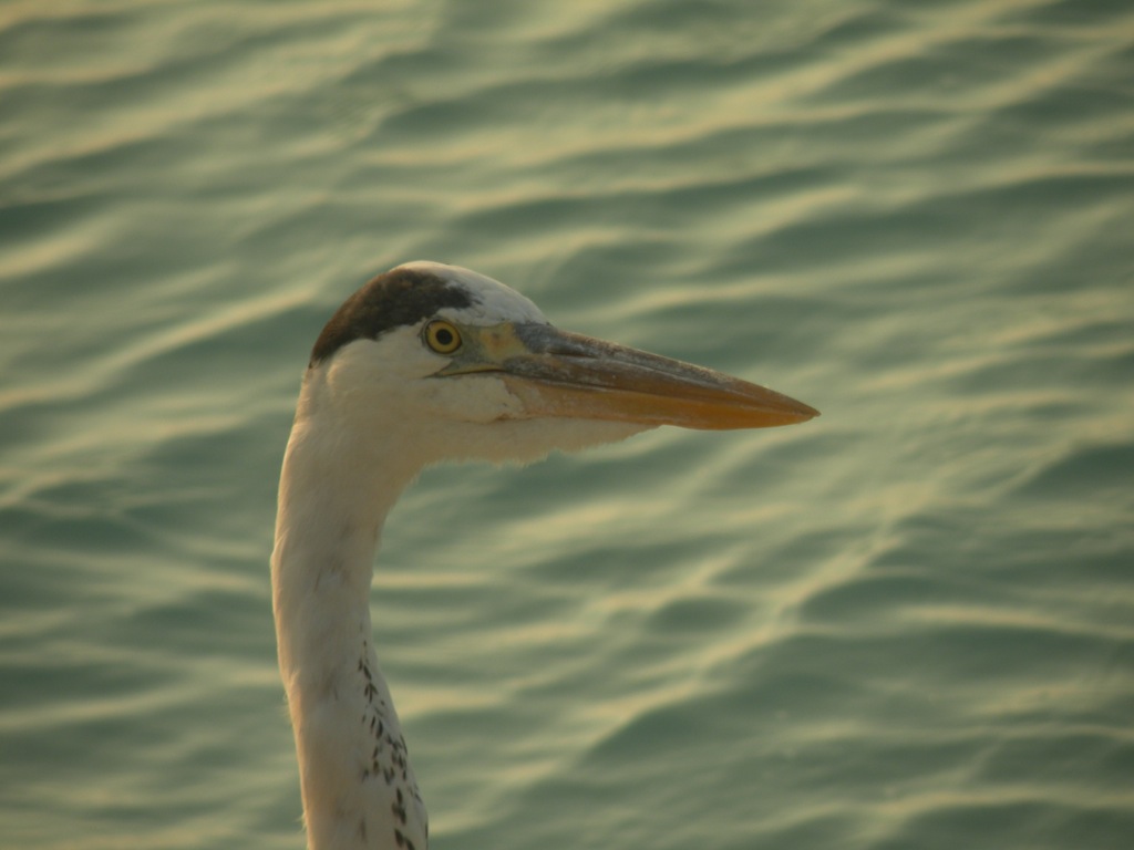 DSCN5900.JPG