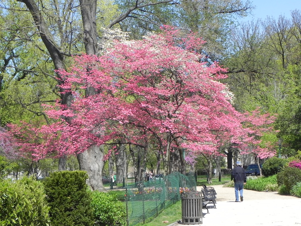 DSCN7676.JPG