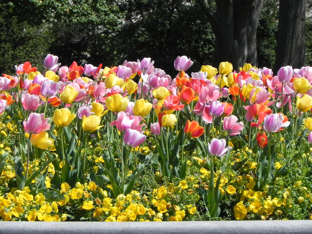 DSCN7682.JPG