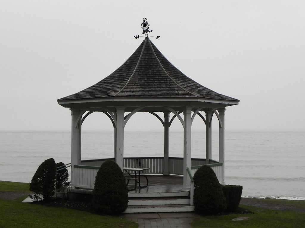 DSCN7990.JPG