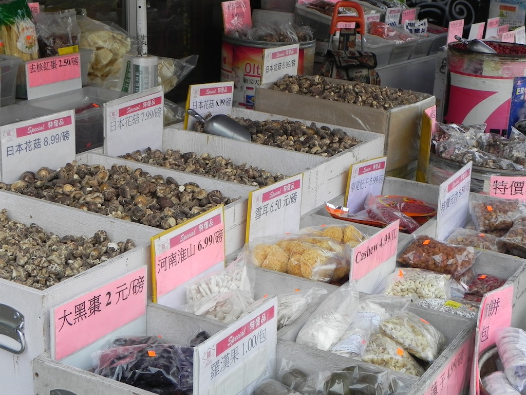 DSCN8152.JPG