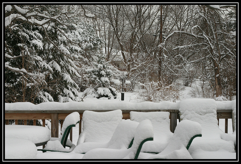 View from the house 2005
