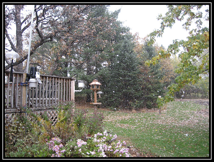 Early fall snow shower 2008