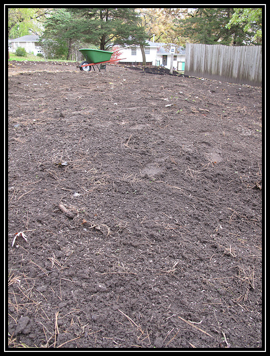 Seeded