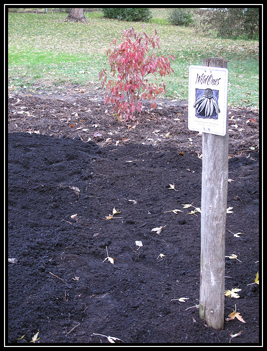 Sign post and nannyberry