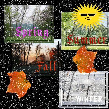 The 4 Seasons