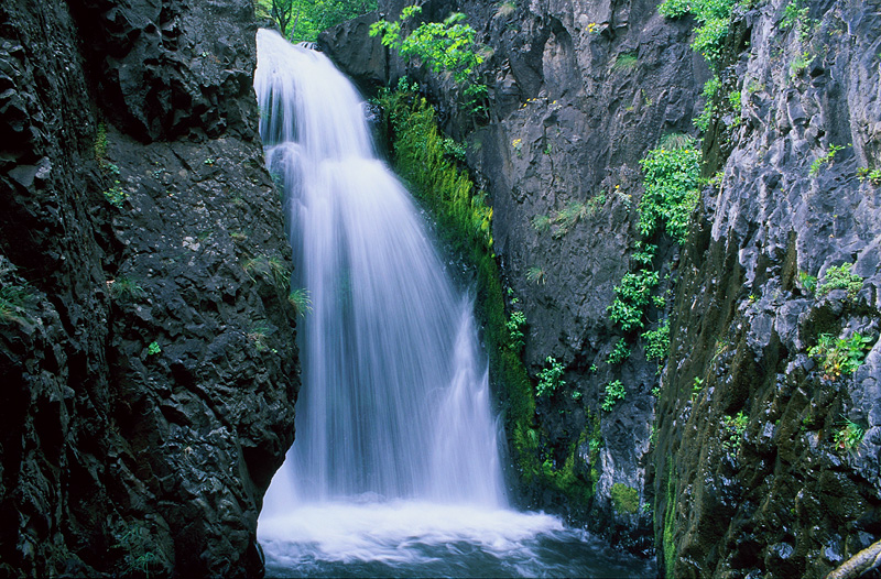 Upper Dog Creek Falls #1