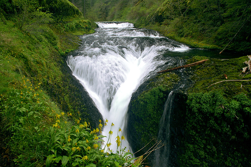 Twister Falls