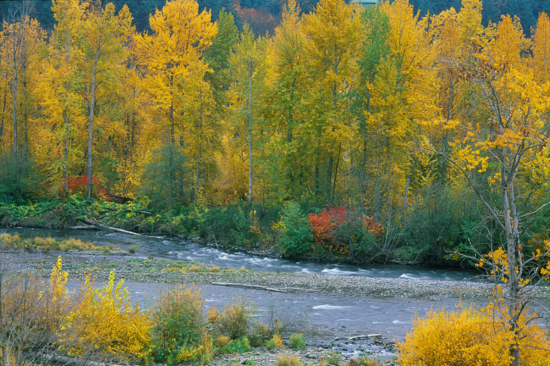 Hood River Fall Colors