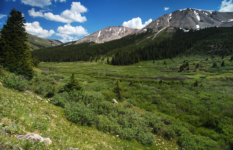 Collegiate Peaks