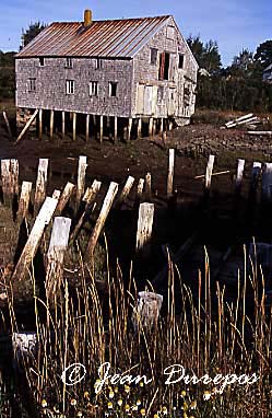 Seal Cove Wharf  storage Bldg. 091803008 ec. jpg