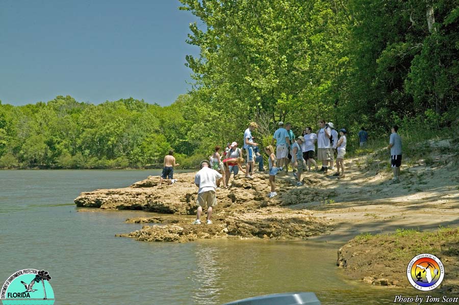 USF students at Rock Bluff.jpg