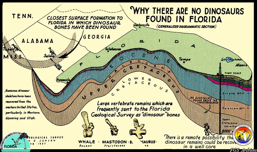 Why-no-dinosaurs in Florida.jpg