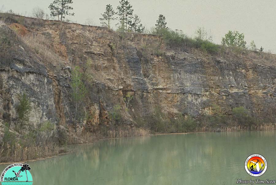 Bridgeboro-pit Oligocene.jpg