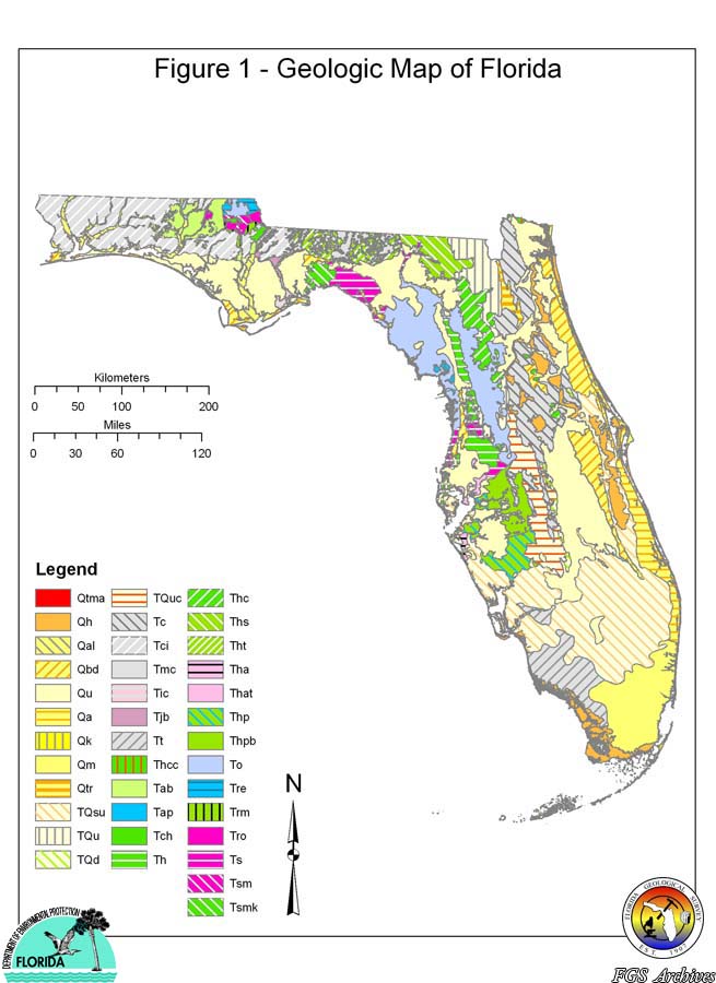 geologic map of Florida.jpg