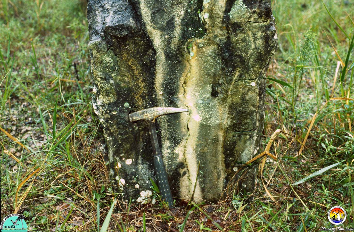 Chert dike Marion Co.jpg