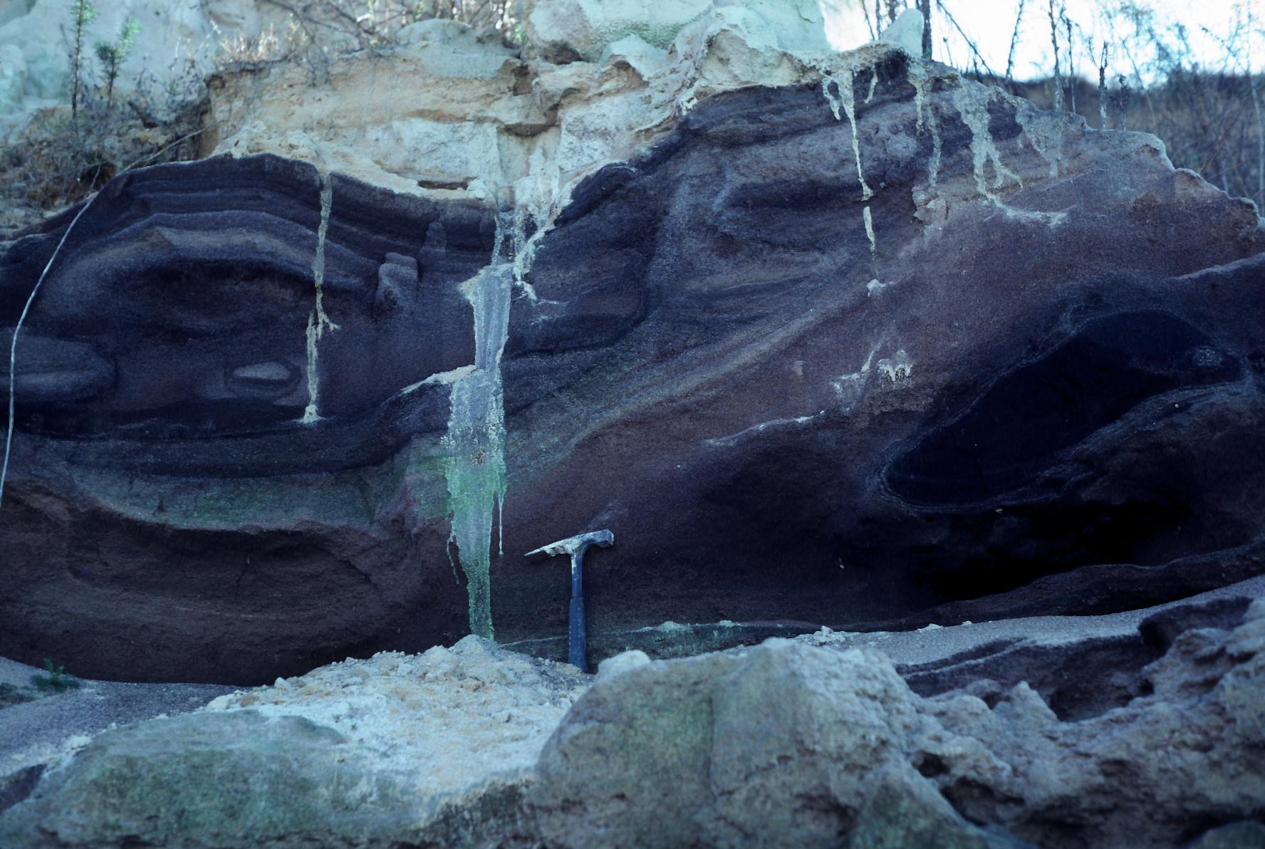 Sand mining paleochannel deposit in Cypreshead Fm.TIF