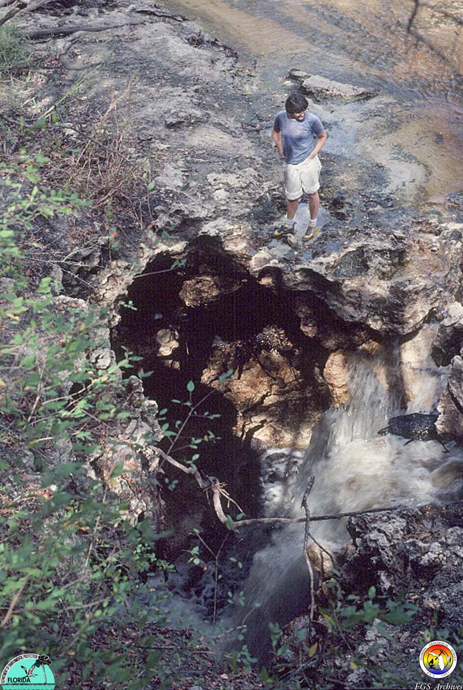 Alapha Rv Sinkhole.jpg