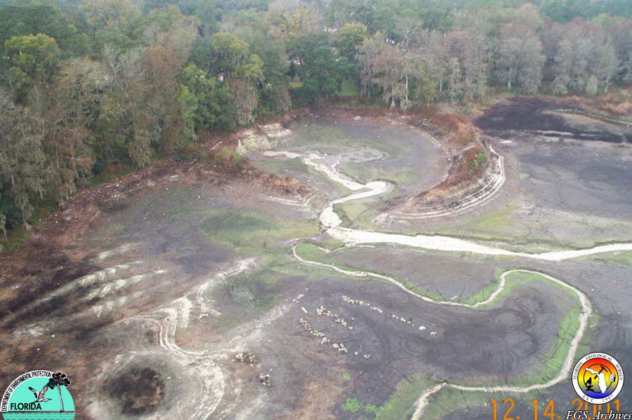 Lake Lafayette Sink.jpg