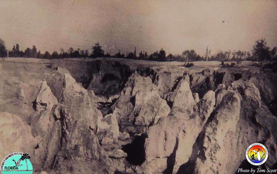 Ocala Ls Cetral Phosphate Co pit Alachua Co 1909.jpg