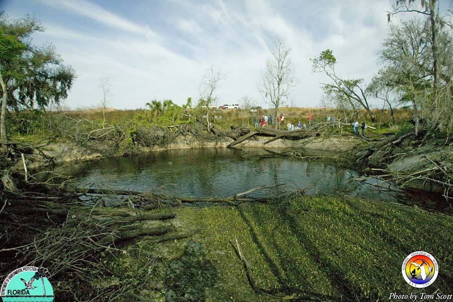 Peace-Rv-Gator-sink-filled-.jpg