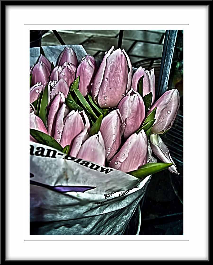 tulips for sale...