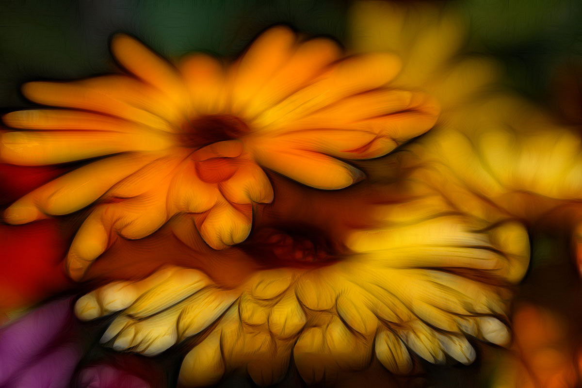 marigolds