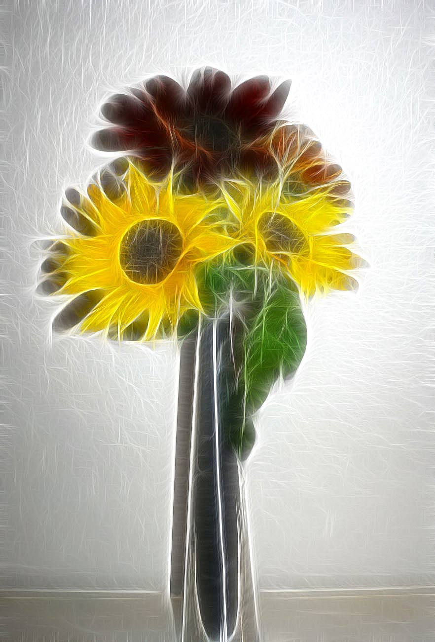 sunflowers in a vase