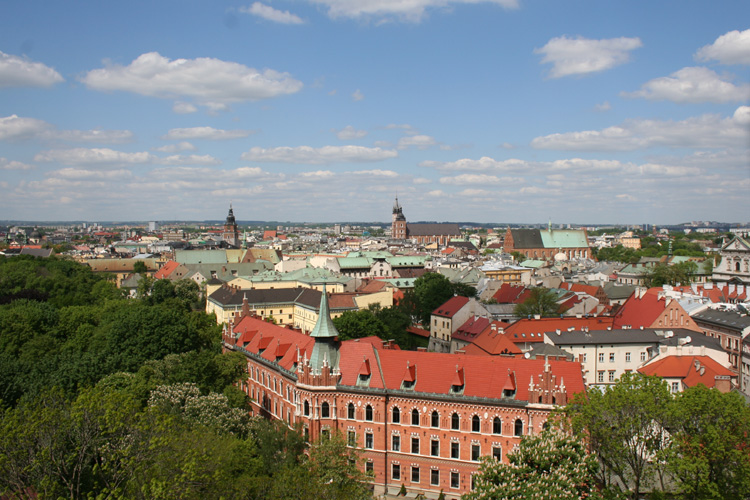 View of Cracow from the Wawel Cathedral bell staircase