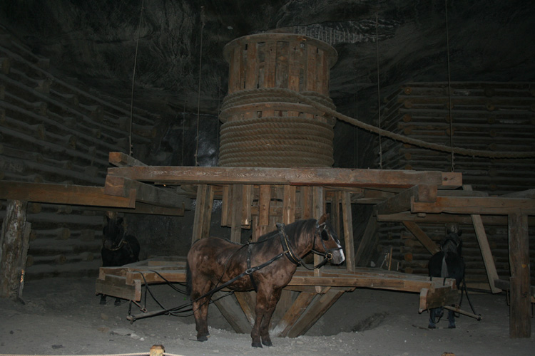 Chamber