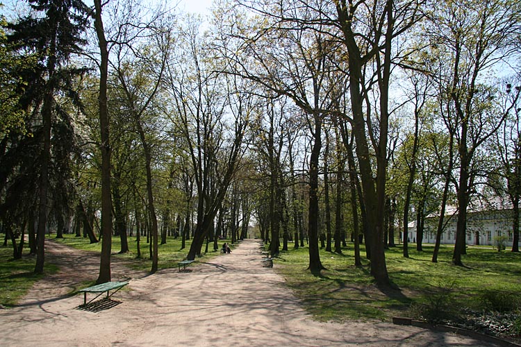25th April 2009 - First signs of spring in City Park