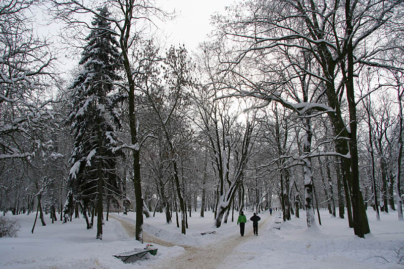 Frosty City Park