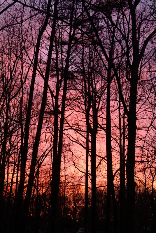 Jan. 17 - sunrise
