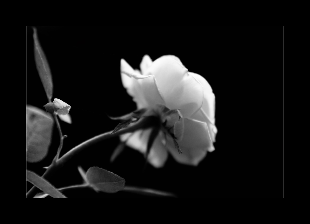 slow dance