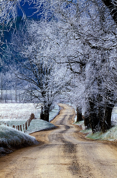 Cades-Cove-Hyatt-Lane.jpg