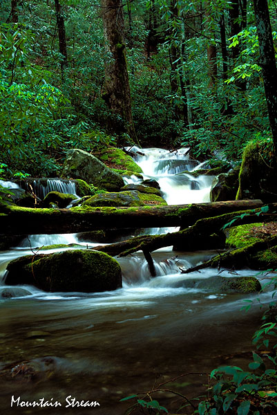 GSMNP-Mountain-Stream.jpg