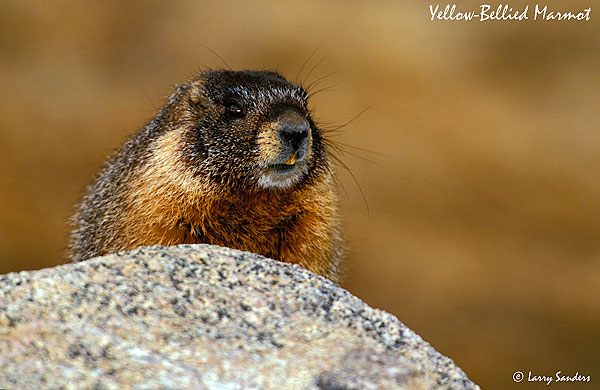 rocky_mtn_np_
