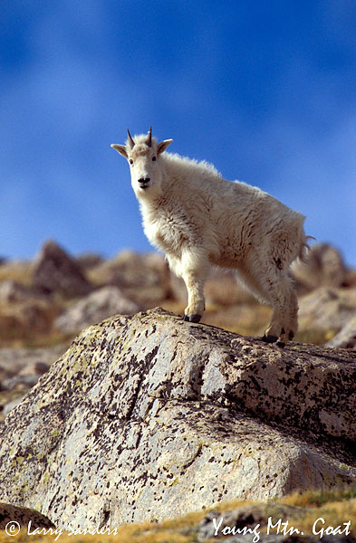rocky_mtn_np_