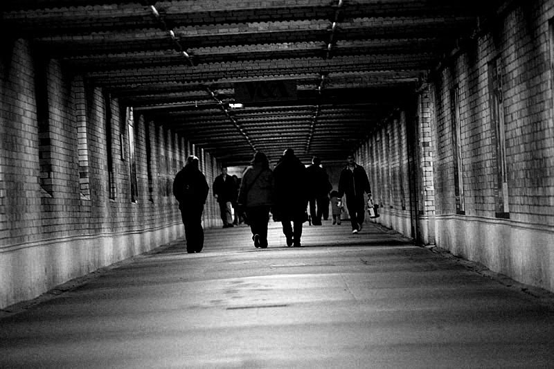 72746795_yRTSeLYK_IMG_7507.jpg