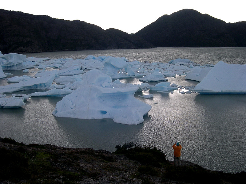 Icebergs en lago Grey