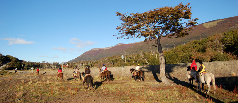 Puerto Willians, Patagonia