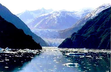  We continued our celebration with a cruise to Alaska