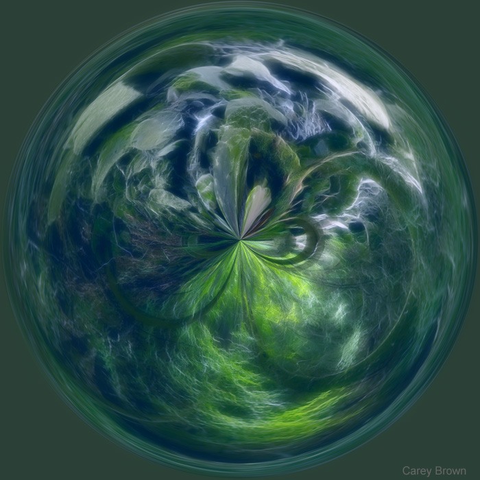 040812102602_fractaliuscircle.jpg