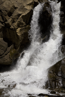 060728125801_320.gif