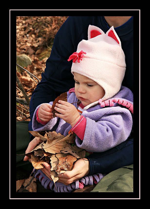 Inspecting the leaves